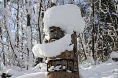 クマもすっぽり雪の中。クリックで画像を別ウインドウで表示します。