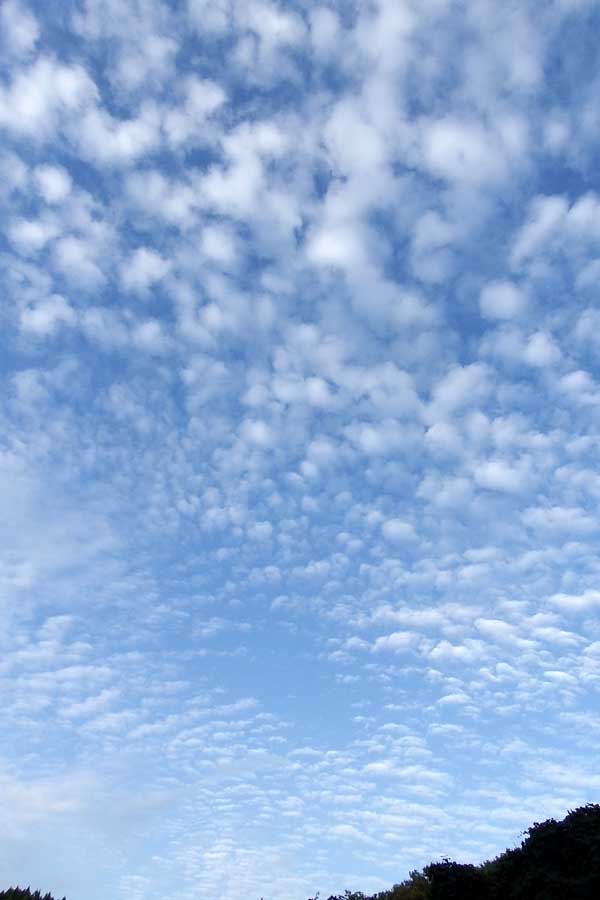 HۂȂĂB