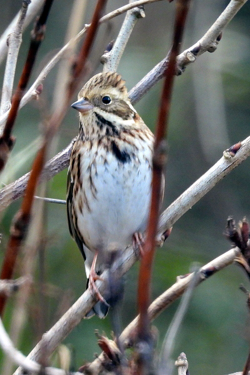 �^�C������